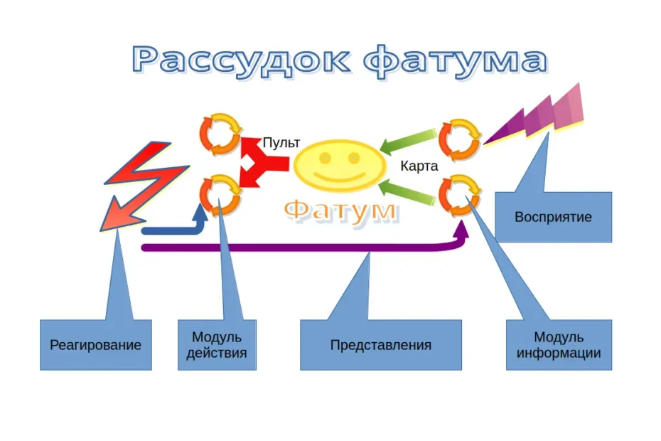 Фатум - функциональная единица нервной системы