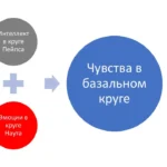 Эмоции и интеллект, образование чувств