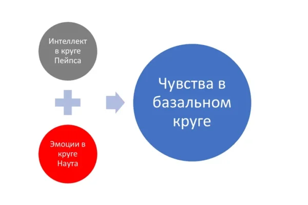Эмоции и интеллект, образование чувств
