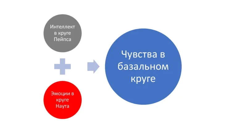 Эмоции и интеллект, образование чувств