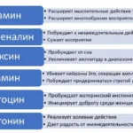 Гормоны, необходимые для психики человека