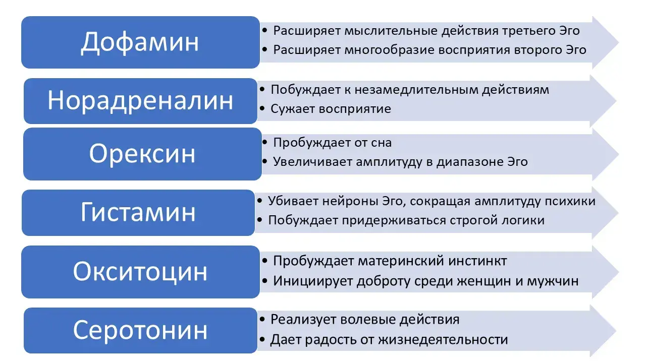 Гормоны, необходимые для психики человека