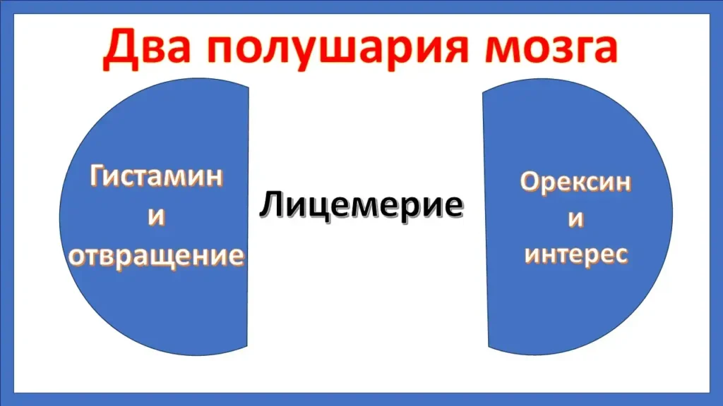 Лицемерие и двойные стандарты