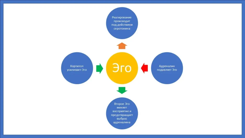 Адреналин и кортизол: связь гормонов с психикой человека
