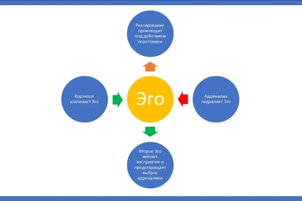 Адреналин и кортизол: связь гормонов с психикой человека