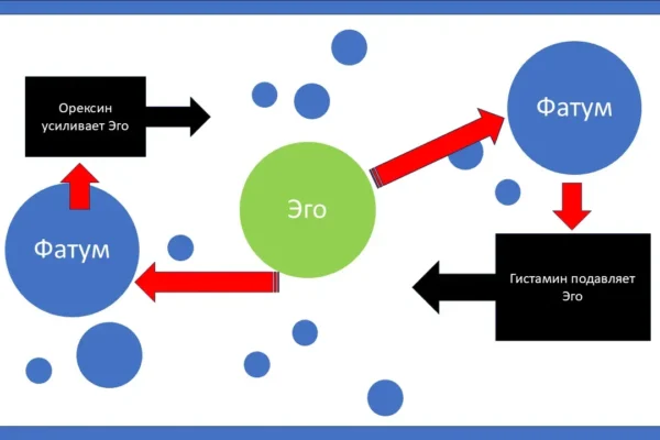 Динамика Эго