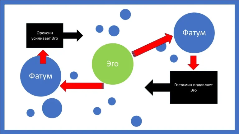 Динамика Эго