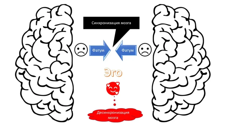 Синхронизация мозга нарушается под действием Эго