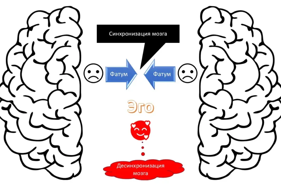 Синхронизация мозга нарушается под действием Эго
