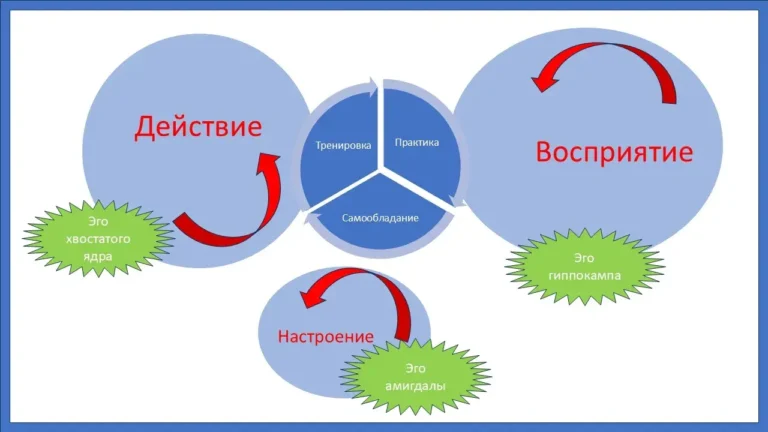 Самообладание, его суть, как сохранить самообладание