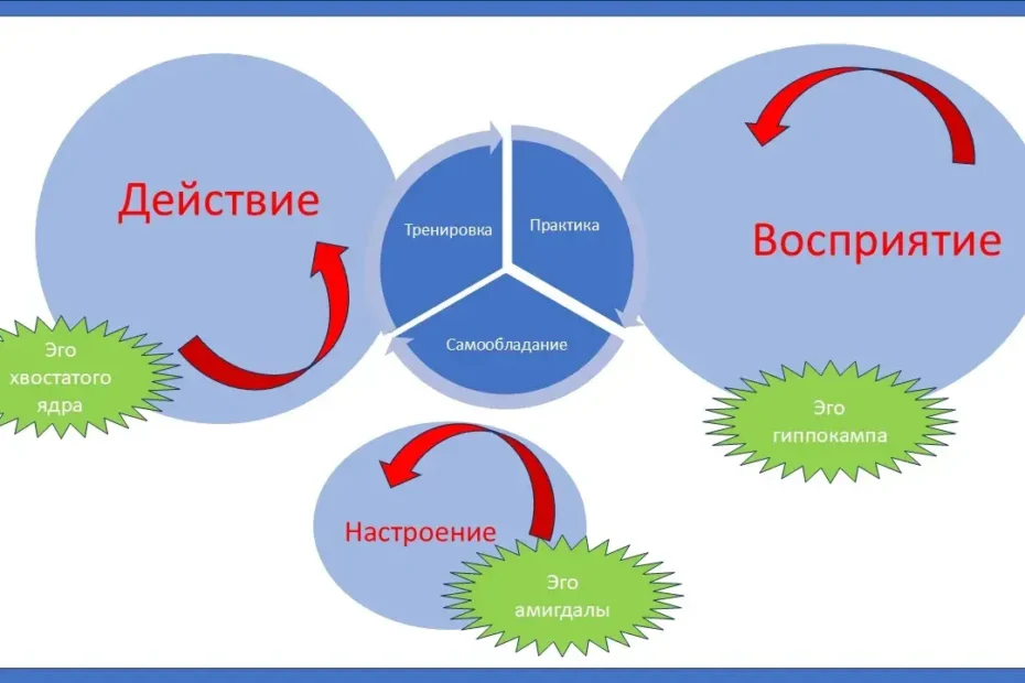 Самообладание, его суть, как сохранить самообладание