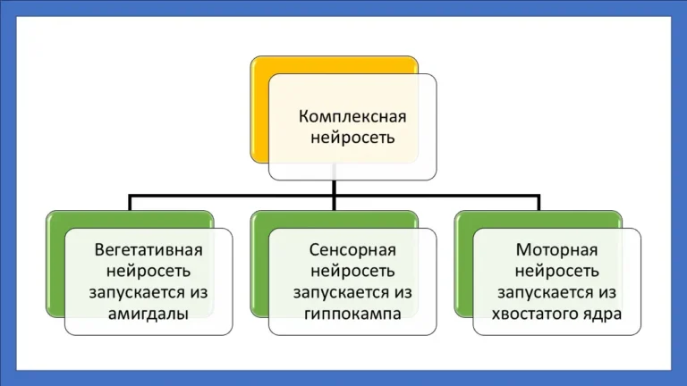 Нейросеть психики человека