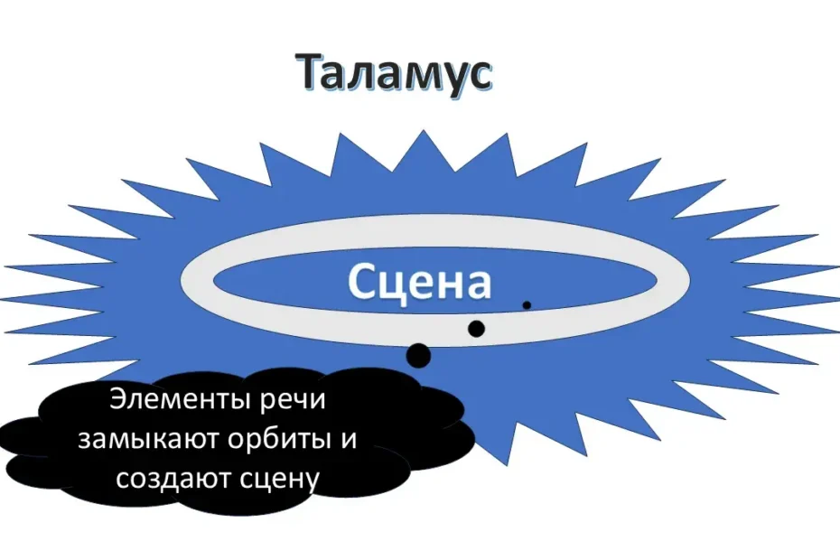 Сцена таламуса