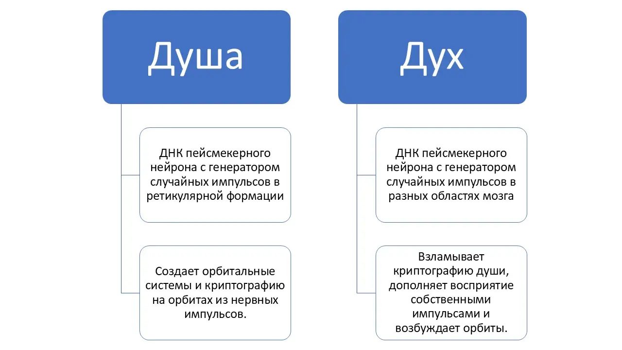 Душа - понятие психологии Гурана